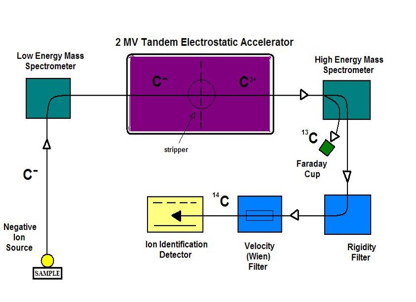 Accelerator mass spectrometry schematic for radiocarbon measurement (courtesy of LLNL).