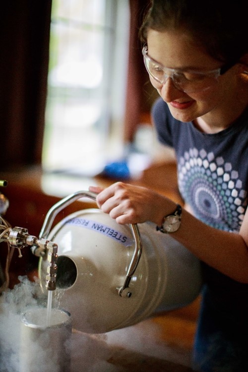 Shumla intern, Marie Desrochers, filling a dewar with liquid nitrogen. Organic material in paint samples in converted to carbon dioxide and water, which is frozen in a glass tube immersed in liquid nitrogen. 