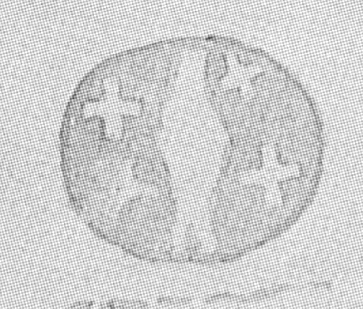 The circle-shaped enigmatic with cross-shapes (Figure H) as illustrated by Kirkland.