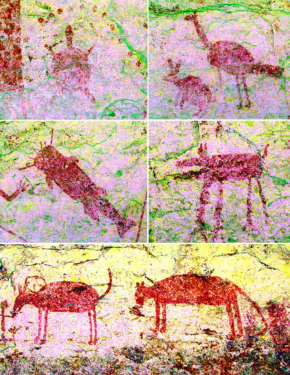 Examples of Red Monochrome zoomorphs from Painted Shelter (41VV78) enhanced with DStretch CRGB color channel.